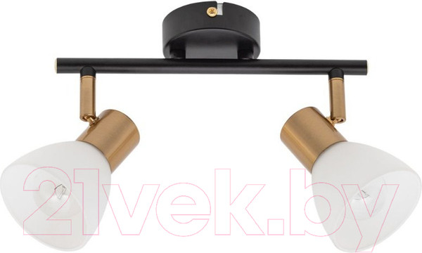 Изображение товара Спот Arte Lamp Falena A3117PL-2BK