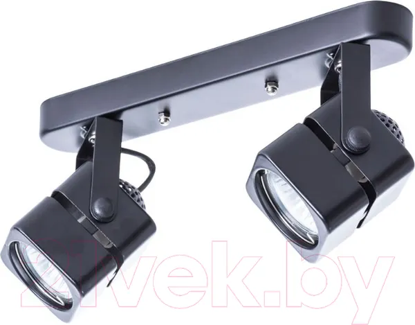 Изображение товара Спот Arte Lamp Misam A1315PL-2BK