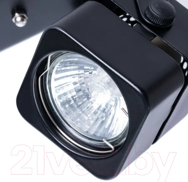 Изображение товара Спот Arte Lamp Misam A1315PL-2BK