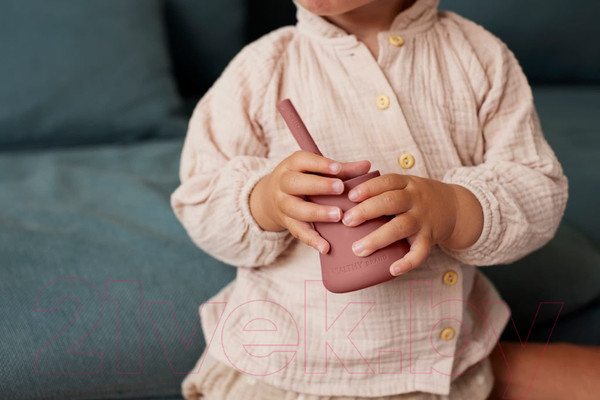 Изображение товара Набор посуды для кормления Everyday Baby 10533 (2шт, терракотовый)