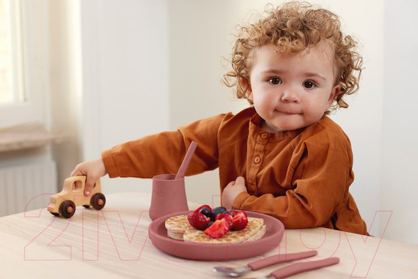 Изображение товара Набор посуды для кормления Everyday Baby 10533 (2шт, терракотовый)