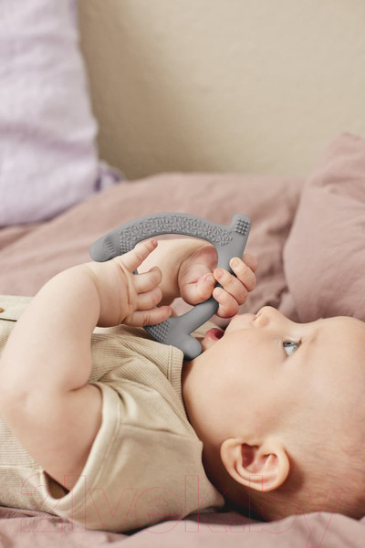 Изображение товара Прорезыватель для зубов Everyday Baby 10552 (серый)