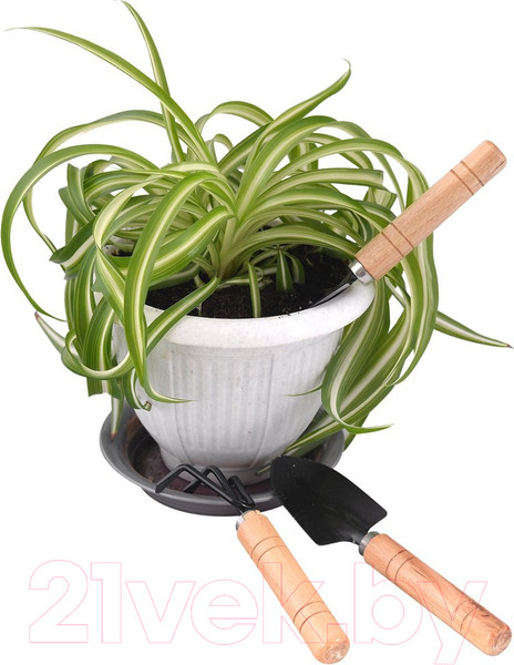 Изображение товара Набор садовых инструментов Мультидом Грин Лайф / VL83-162