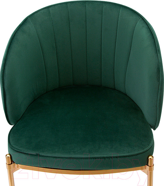 Изображение товара Стул Bergenson Bjorn Coral / BEAR-CO10888 (темно-зеленый)