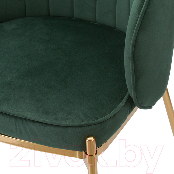 Изображение товара Стул Bergenson Bjorn Coral / BEAR-CO10888 (темно-зеленый)