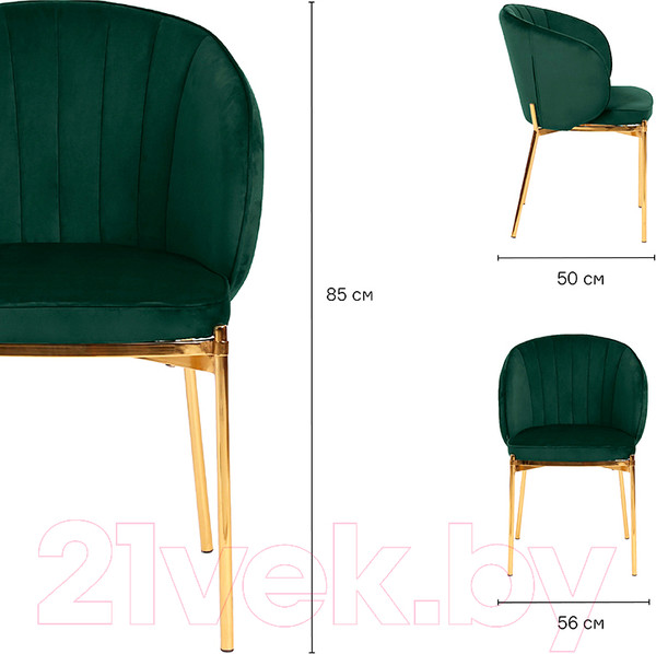 Изображение товара Стул Bergenson Bjorn Coral / BEAR-CO10888 (темно-зеленый)