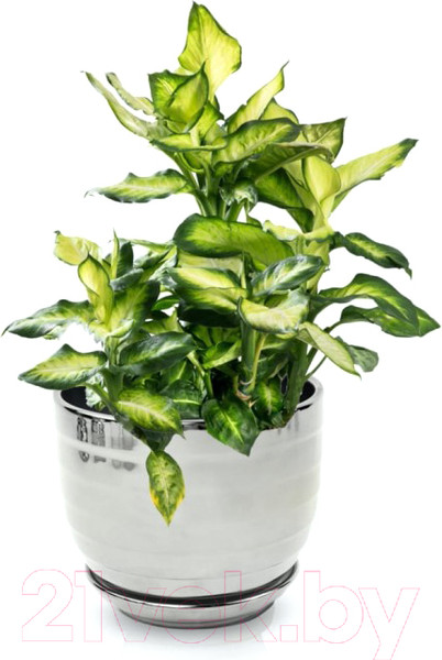 Изображение товара Кашпо Polnix 43.037.14 (серебристый)