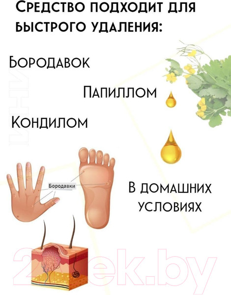 Изображение товара Средство для устранения косметических дефектов кожи Medicalfort Алтайский чистотел (1.5мл)