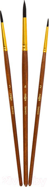 Изображение товара Набор кистей ГАММА Белка / 280618.09.05 (3шт)