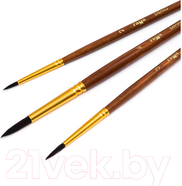 Изображение товара Набор кистей ГАММА Белка / 280618.09.05 (3шт)