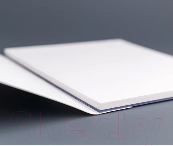 Изображение товара Альбом для рисования Малевичъ White Swan / 401444 (20л)