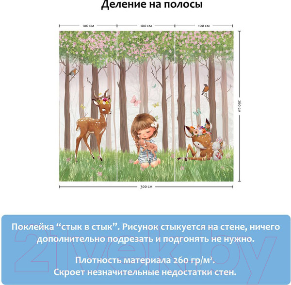 Изображение товара Фотообои листовые Citydecor Magic Forest 2 (300x260)