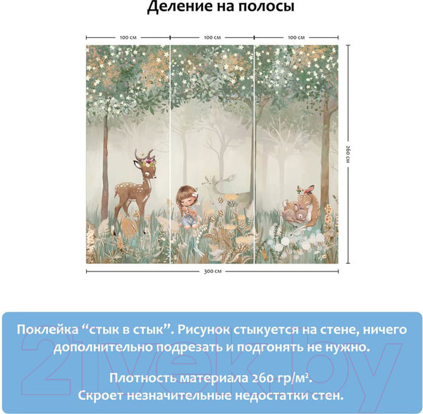 Изображение товара Фотообои листовые Citydecor Magic Forest 7 (300x260)