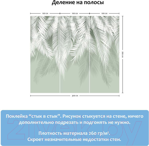 Изображение товара Фотообои листовые Citydecor Пальмовые листья (300x260, олива)