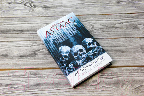 Изображение товара Книга АСТ Испорченный. Ночь дьявола Пенелопы Дуглас (Дуглас П.)