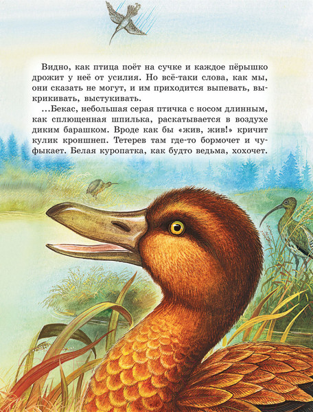 Изображение товара Книга АСТ Лисичкин хлеб. Рассказы (Пришвин М.М.)