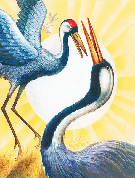 Изображение товара Книга АСТ Лисичкин хлеб. Рассказы (Пришвин М.М.)