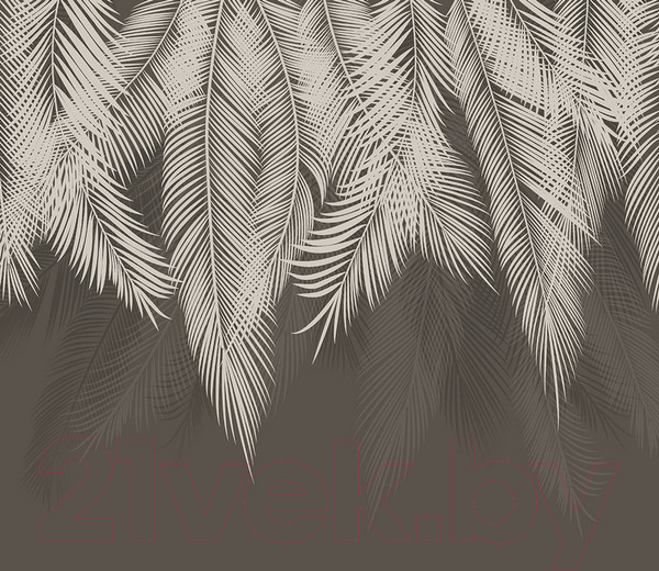 Изображение товара Фотообои листовые Citydecor Пальмовые листья (300x260, графит)