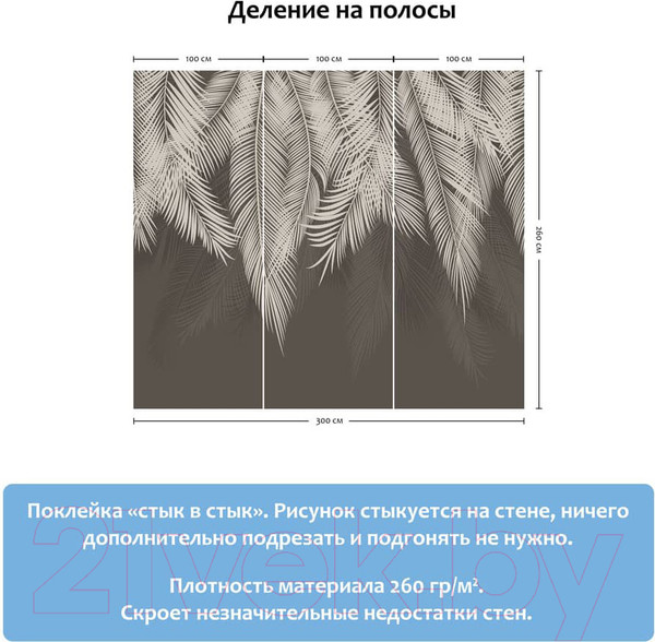 Изображение товара Фотообои листовые Citydecor Пальмовые листья (300x260, графит)