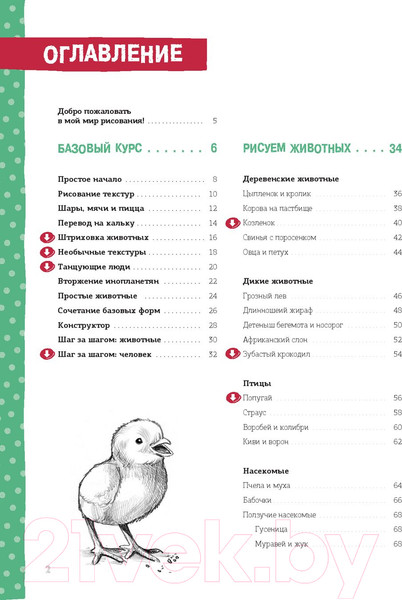 Изображение товара Книга Попурри Пошаговый курс рисования для детей (Гекко К.)