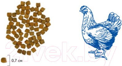 Изображение товара Сухой корм для кошек Brit Premium Cat Kitten с курицей / 5049684 (8кг)