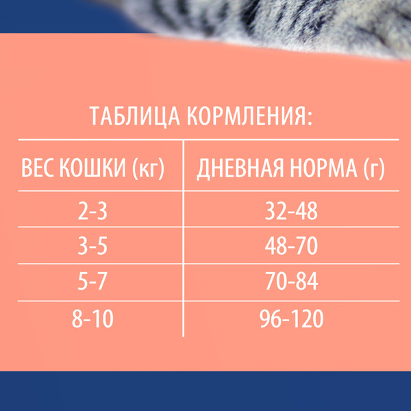Изображение товара Сухой корм для кошек Brit Cat Sterilized Salmon & Chicken / 5049868 (8кг)