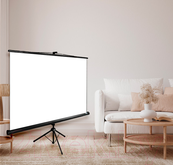 Изображение товара Проекционный экран Cactus CS-PST-150X150 (150x150)