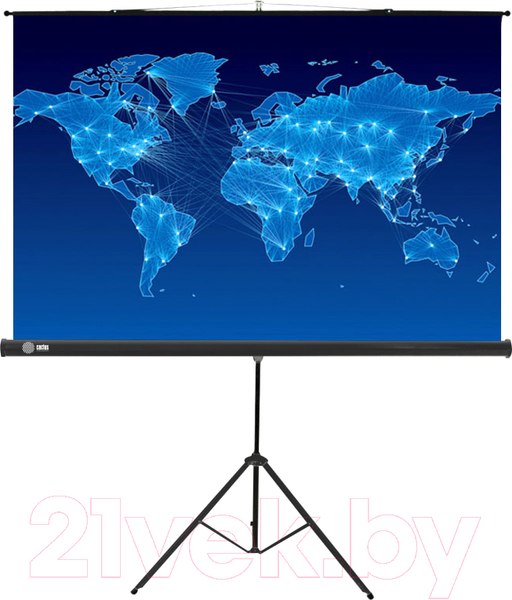 Изображение товара Проекционный экран Cactus CS-PST-150X150 (150x150)