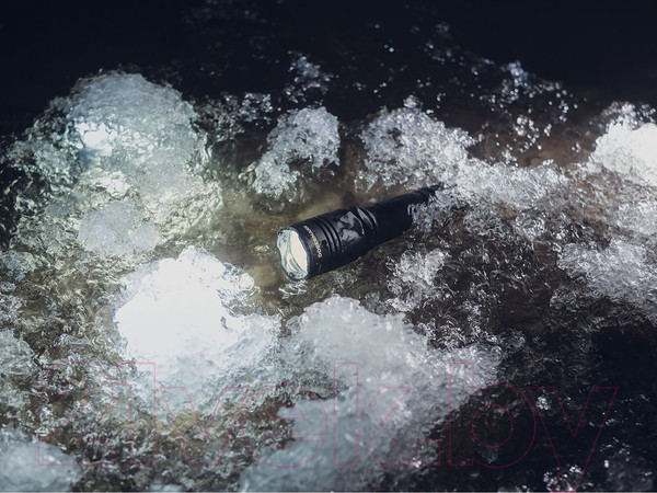 Изображение товара Фонарь Armytek Dobermann Extended Set / F02005C