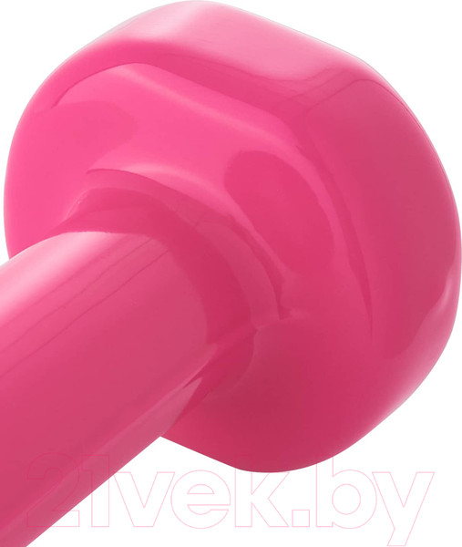 Изображение товара Гантель Starfit DB-101 (1кг, розовый)