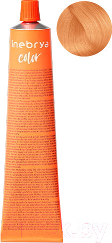 Изображение товара Крем-краска для волос Inebrya На семенах льна и алоэ вера 10/42 (100мл, светлый платиновый блонд коньячный)