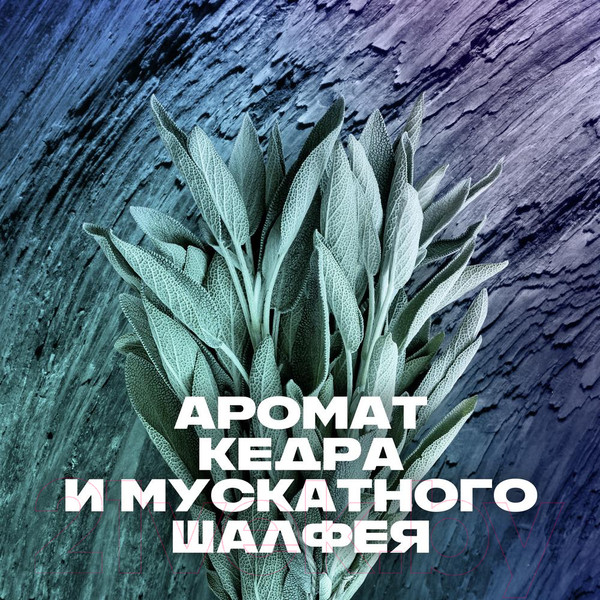 Изображение товара Гель для душа Axe Аполло (250мл)