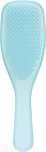 Изображение товара Расческа-массажер Tangle Teezer The Wet Detangler Baby Blue Haze