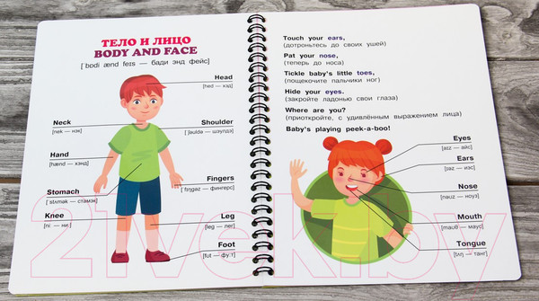 Изображение товара Развивающая книга АСТ Английский язык: учимся вместе с Дуней и котом Киселем