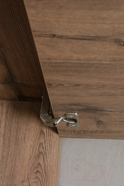 Изображение товара Шкаф Рэйгрупп Bromo 01.03 ДДД 166x198x55 / ШР 01.03 VL (дуб веллингтон)