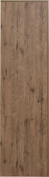 Изображение товара Шкаф Рэйгрупп Bromo 02.02 ДЗ 90x198x55 / ШР 02.02 VL (дуб веллингтон)