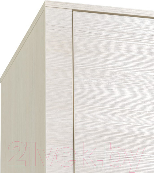 Изображение товара Шкаф Рэйгрупп Bromo 01.02 ДЗД 166x198x55 / ШР 01.02 BR (дуб бордолайт)