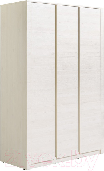 Изображение товара Шкаф Рэйгрупп Bromo 01.03 ДДД 166x198x55 / ШР 01.03 BR (дуб бордолайт)