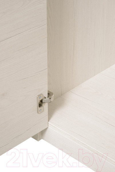 Изображение товара Шкаф Рэйгрупп Bromo 01.03 ДДД 166x198x55 / ШР 01.03 BR (дуб бордолайт)