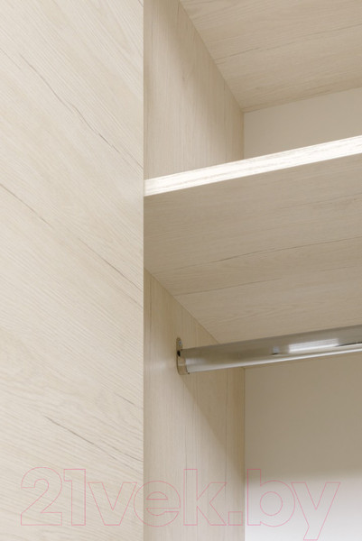 Изображение товара Шкаф Рэйгрупп Bromo 01.03 ДДД 166x198x55 / ШР 01.03 BR (дуб бордолайт)