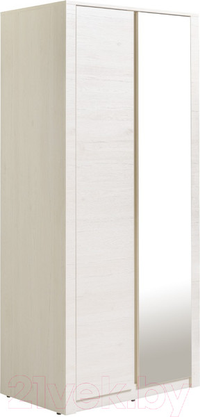 Изображение товара Шкаф Рэйгрупп Bromo 02.02 ДЗ 90x198x55 / ШР 02.02 BR (дуб бордолайт)