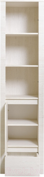 Изображение товара Шкаф-пенал Рэйгрупп Bromo ВТ-04 1D1Y 50x198x45 / ВТ-04 BR (дуб бордолайт)