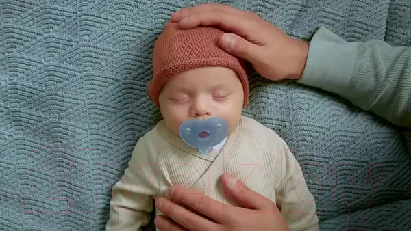 Изображение товара Набор пустышек Philips AVENT Сердце / SCF099/21 (2шт)