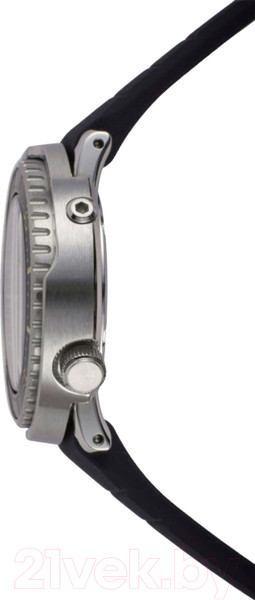 Изображение товара Часы наручные женские Seiko SUT403P1