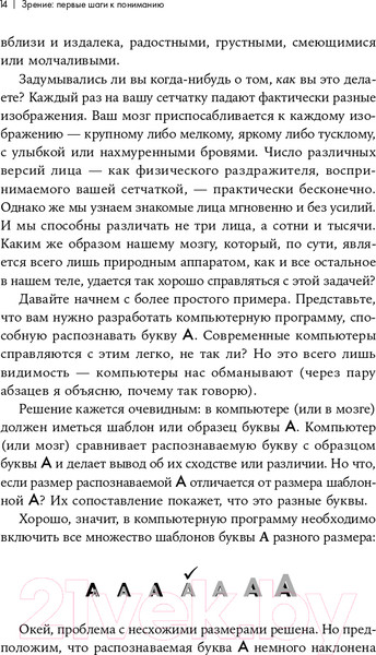 Изображение товара Книга Альпина Как мы видим? Нейробиология зрительного восприятия (Маслэнд Р.)