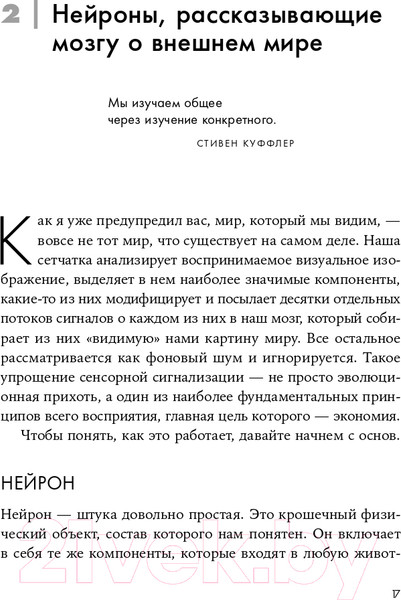 Изображение товара Книга Альпина Как мы видим? Нейробиология зрительного восприятия (Маслэнд Р.)