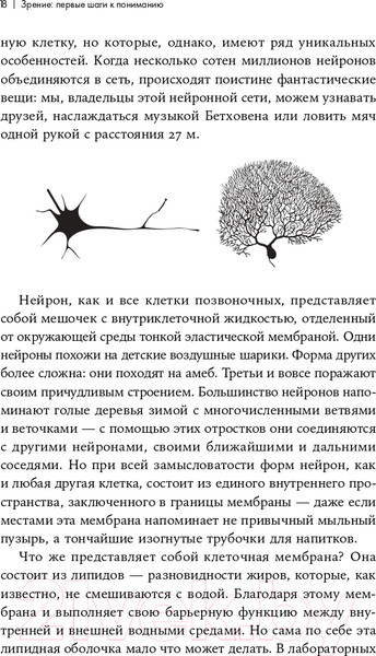 Изображение товара Книга Альпина Как мы видим? Нейробиология зрительного восприятия (Маслэнд Р.)