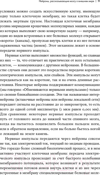 Изображение товара Книга Альпина Как мы видим? Нейробиология зрительного восприятия (Маслэнд Р.)