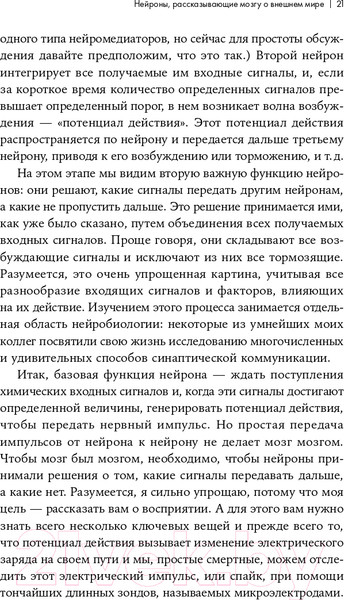 Изображение товара Книга Альпина Как мы видим? Нейробиология зрительного восприятия (Маслэнд Р.)