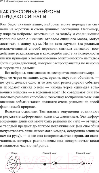 Изображение товара Книга Альпина Как мы видим? Нейробиология зрительного восприятия (Маслэнд Р.)